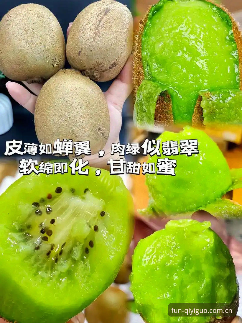 奇异果体育 vs 传统平台：哪家更安全？全面对比分析